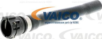 VAICO V20-2392 - Radiatora cauruļvads autodraugiem.lv