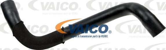 VAICO V21-0043 - Radiatora cauruļvads autodraugiem.lv