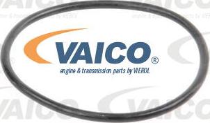 VAICO V22-50009 - Ūdenssūknis autodraugiem.lv