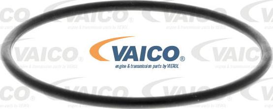 VAICO V22-0529 - Degvielas filtrs autodraugiem.lv