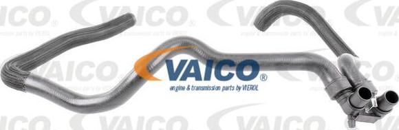 VAICO V22-0521 - Radiatora cauruļvads autodraugiem.lv