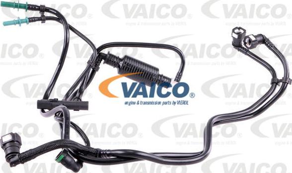 VAICO V22-0664 - Degvielas vads autodraugiem.lv