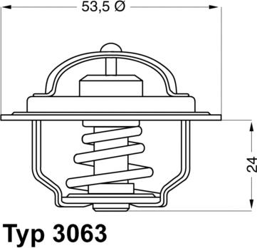 WAHLER 3063.75 - Termostats, Dzesēšanas šķidrums autodraugiem.lv