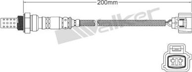 Walker Products 250-22088 - Lambda zonde autodraugiem.lv