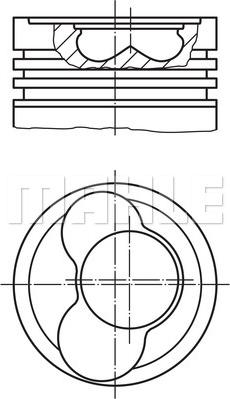 Wilmink Group WG1104415 - Virzulis autodraugiem.lv