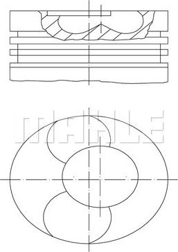 Wilmink Group WG1104729 - Virzulis autodraugiem.lv