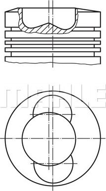 Wilmink Group WG1261449 - Virzulis autodraugiem.lv