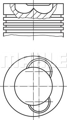 Wilmink Group WG1213955 - Virzulis autodraugiem.lv