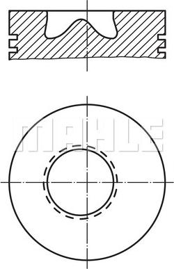 Wilmink Group WG1213934 - Virzulis autodraugiem.lv