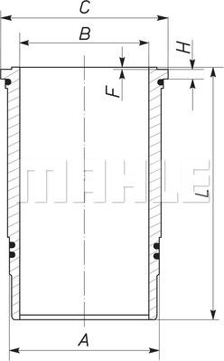 Wilmink Group WG1787989 - Cilindra čaula autodraugiem.lv