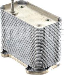 Wilmink Group WG2181240 - Eļļas radiators, Motoreļļa autodraugiem.lv