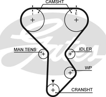 Wilmink Group WG2305563 - Zobsiksna autodraugiem.lv