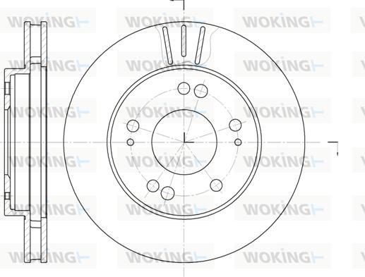 Woking D61220.10 - Bremžu diski autodraugiem.lv