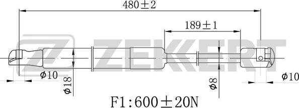 Zekkert GF-2480 - Gāzes atspere, Bagāžas / Kravas nodalījuma vāks autodraugiem.lv