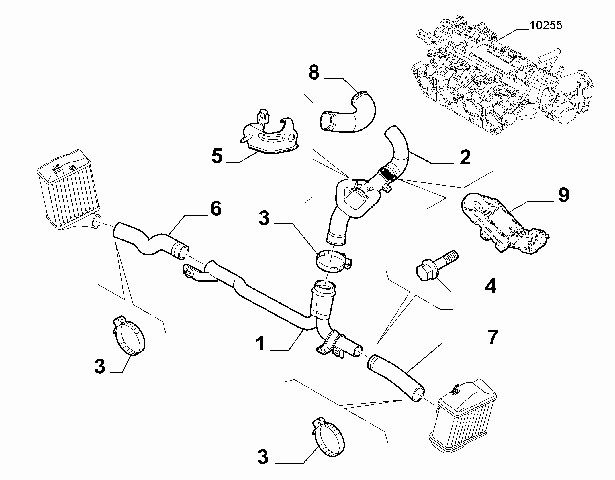 FIAT 55219294 - Devējs, Pūtes spiediens autodraugiem.lv