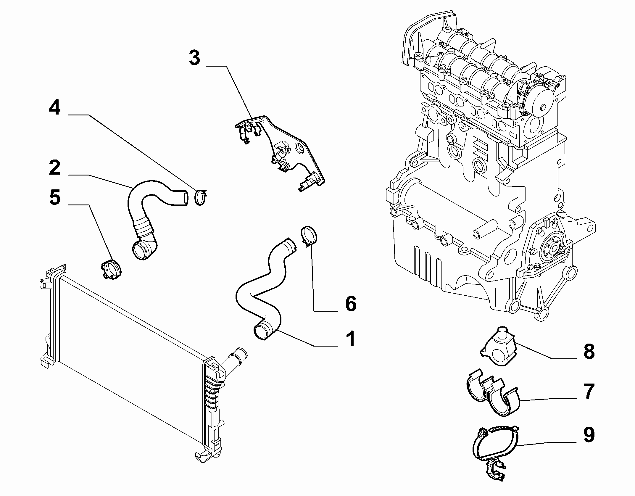 FIAT 51870150 - Radiatora cauruļvads autodraugiem.lv