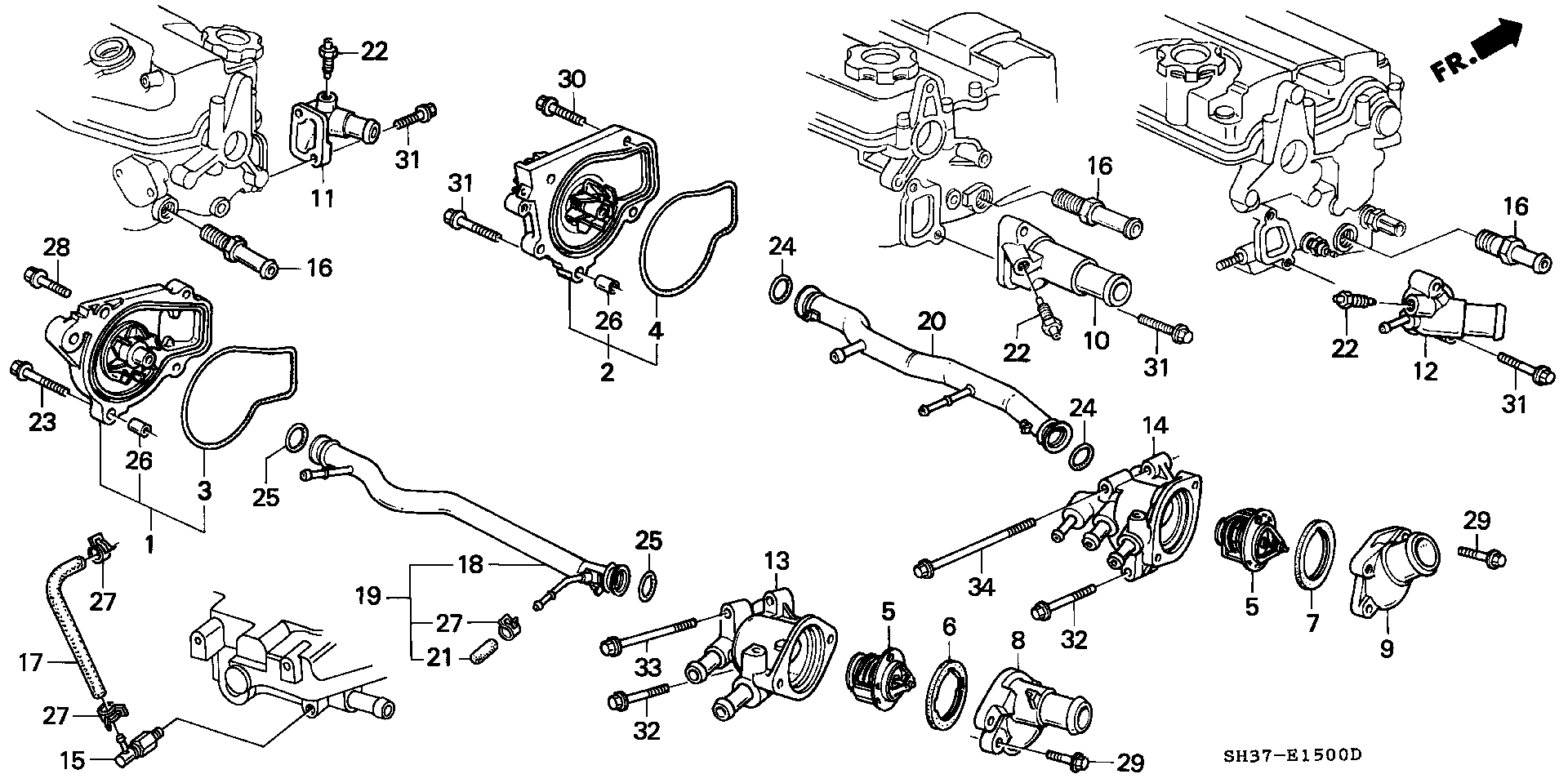 Rover 19200PM3013 - Ūdenssūknis autodraugiem.lv