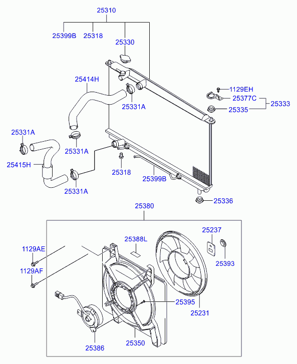 Hyundai 2533039100 - Vāciņš, Radiators autodraugiem.lv