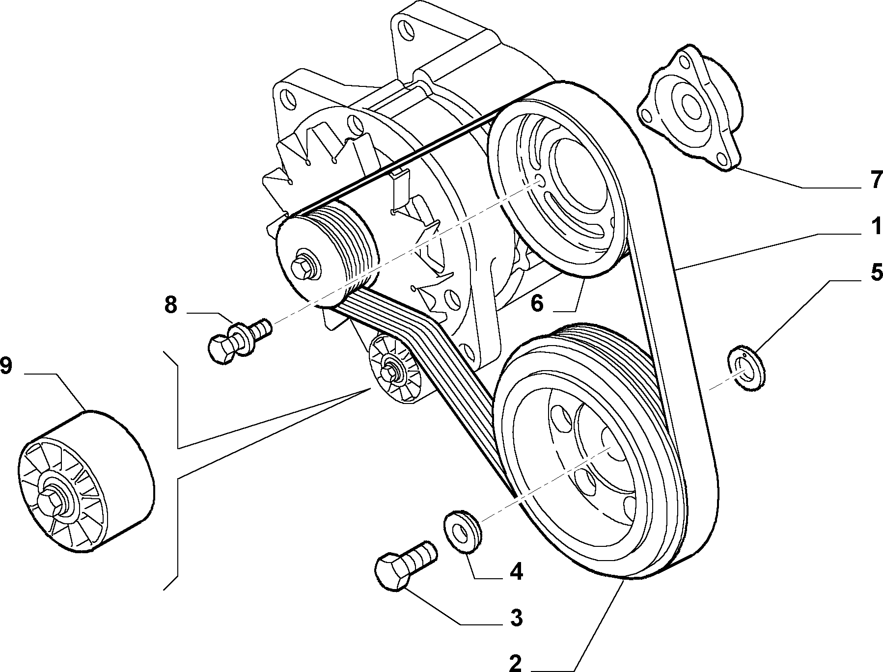 IVECO 504106751 - Parazīt / Vadrullītis, Ķīļrievu siksna autodraugiem.lv